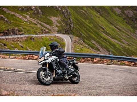 2014 Triumph Tiger Explorer ABS in Lacey, Washington - Photo 13