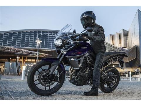 2015 Triumph Tiger 800 XRX in Foxboro, Massachusetts - Photo 2