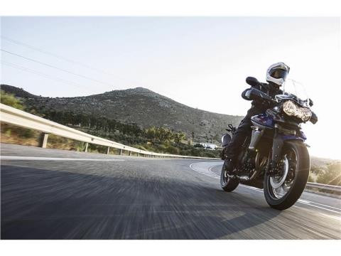 2015 Triumph Tiger 800 XRX in Foxboro, Massachusetts - Photo 3