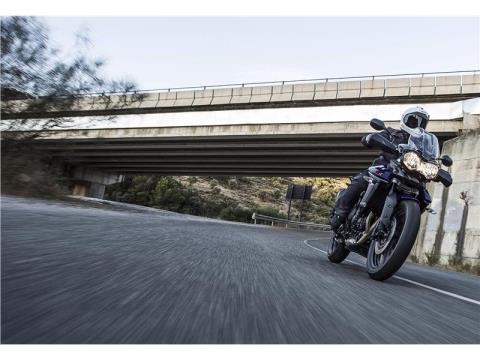 2015 Triumph Tiger 800 XRX in Foxboro, Massachusetts - Photo 5