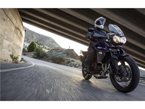 2015 Triumph Tiger 800 XRX in Foxboro, Massachusetts - Photo 6