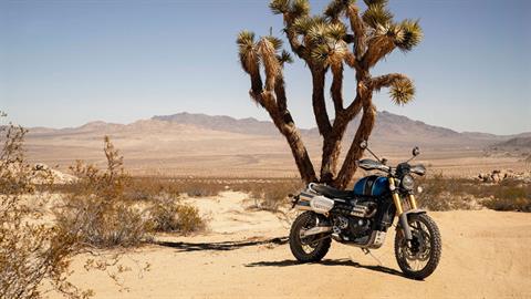 2019 Triumph Scrambler 1200 XE in Fairview, Utah - Photo 17