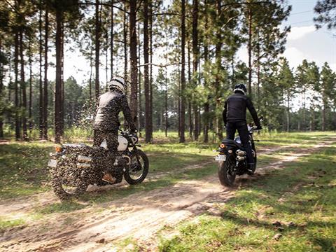 2019 Triumph Street Scrambler in Manchester, New Hampshire - Photo 17