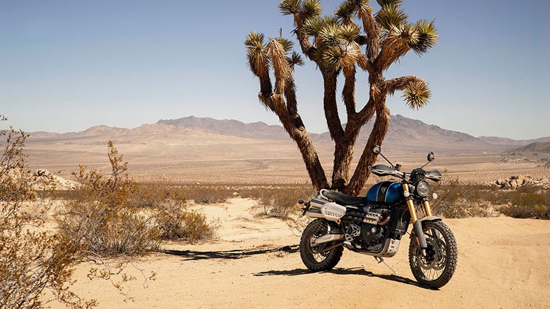 2020 Triumph Scrambler 1200 XE in The Dalles, Oregon - Photo 15