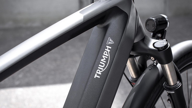 2020 Triumph Trekker GT - Small in Belle Plaine, Minnesota - Photo 5