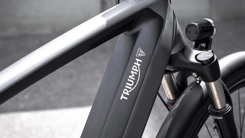 2021 Triumph Trekker GT - Large in Enfield, Connecticut - Photo 5