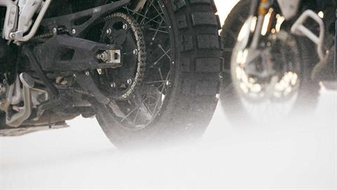 2021 Triumph Tiger 900 Rally in Foxboro, Massachusetts - Photo 5