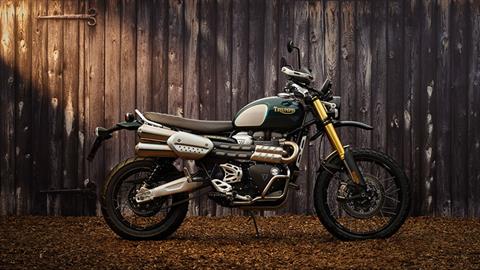 Triumph scrambler cena cheap
