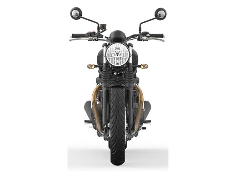 2023 Triumph Speed Twin 900 in Foxboro, Massachusetts - Photo 5