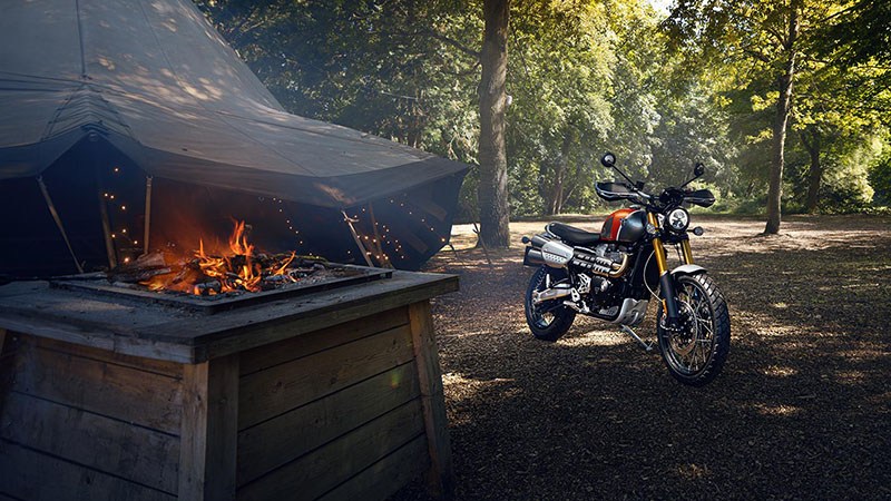 2022 Triumph Scrambler 1200 XE Gold Line in Lexington, Kentucky - Photo 3