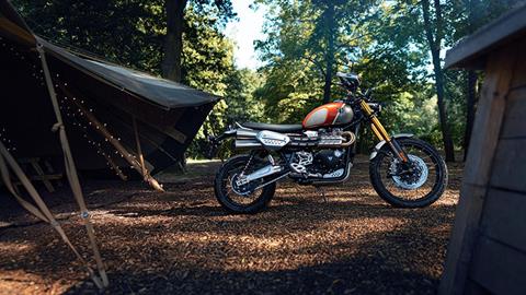2022 Triumph Scrambler 1200 XE Gold Line in Lexington, Kentucky - Photo 4