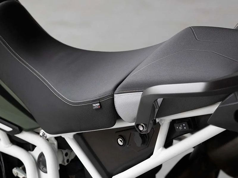 2023 Triumph Tiger 900 Rally Pro in Eugene, Oregon - Photo 10