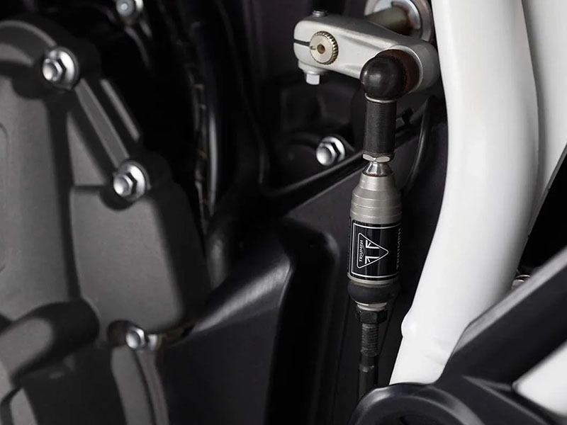 2023 Triumph Tiger 900 Rally Pro in Eugene, Oregon - Photo 13