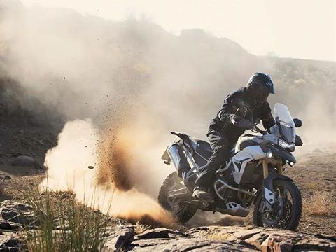 2023 Triumph Tiger 900 Rally Pro in Eugene, Oregon - Photo 17