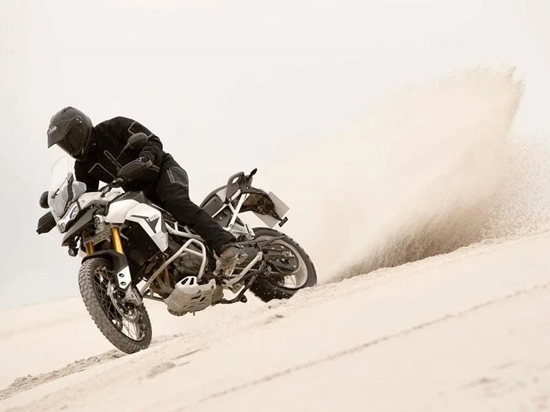 2023 Triumph Tiger 900 Rally Pro in Eugene, Oregon - Photo 19
