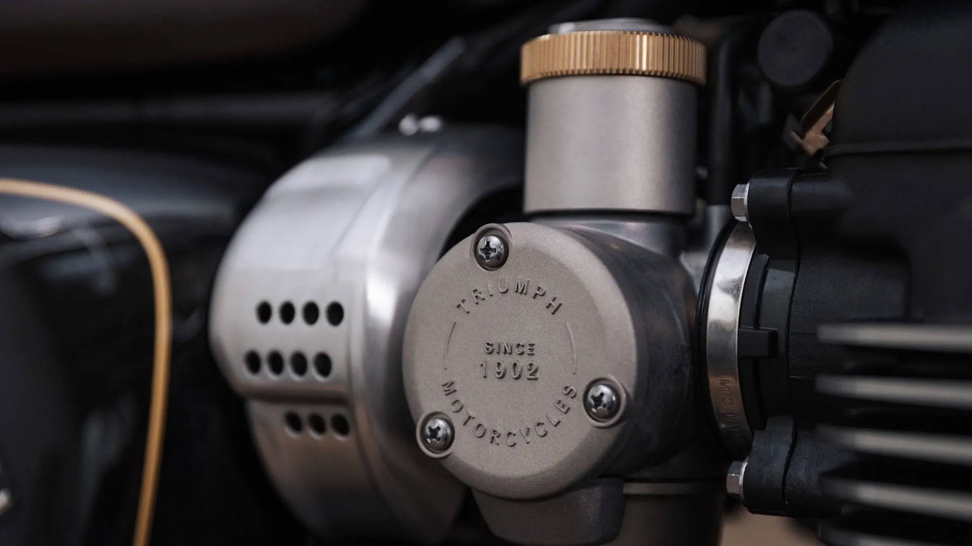 2024 Triumph Bonneville T120 Black DGR Limited Edition in Belle Plaine, Minnesota - Photo 12
