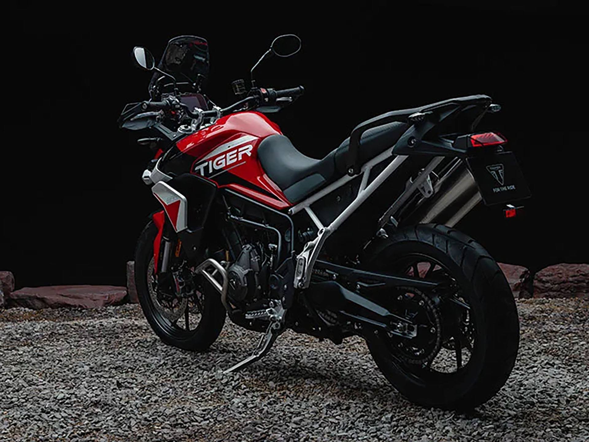 Tiger 900 gt price cheap