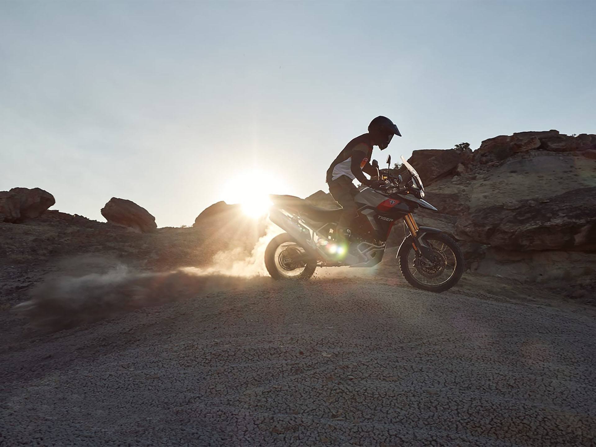 2024 Triumph Tiger 900 Rally Pro in Enfield, Connecticut - Photo 9