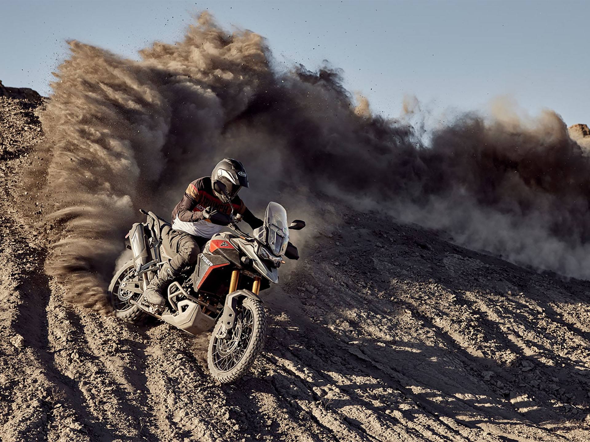 2024 Triumph Tiger 900 Rally Pro in Enfield, Connecticut - Photo 10