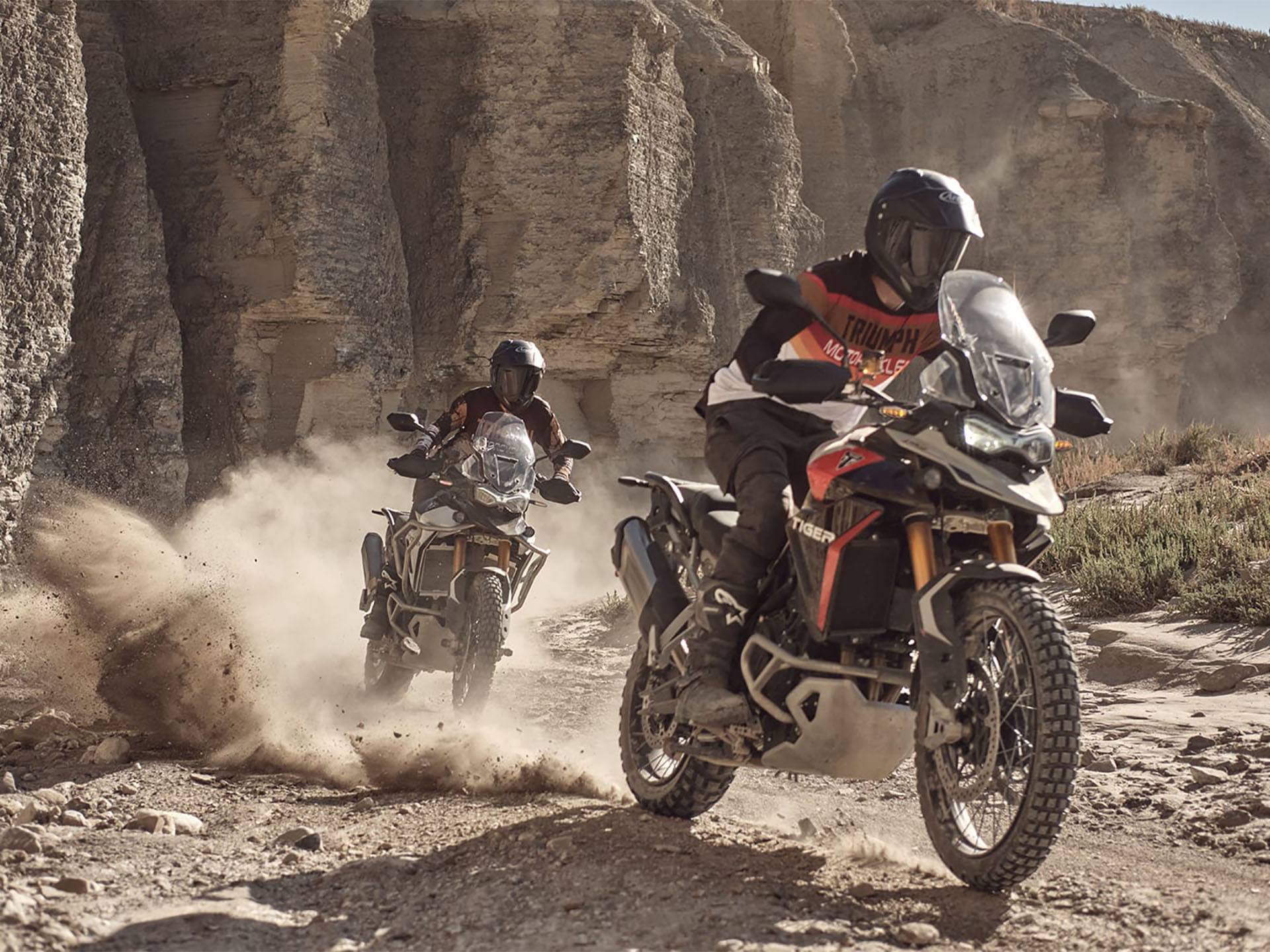 2024 Triumph Tiger 900 Rally Pro in Enfield, Connecticut - Photo 11