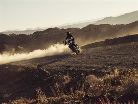 2024 Triumph Tiger 900 Rally Pro in Enfield, Connecticut - Photo 12