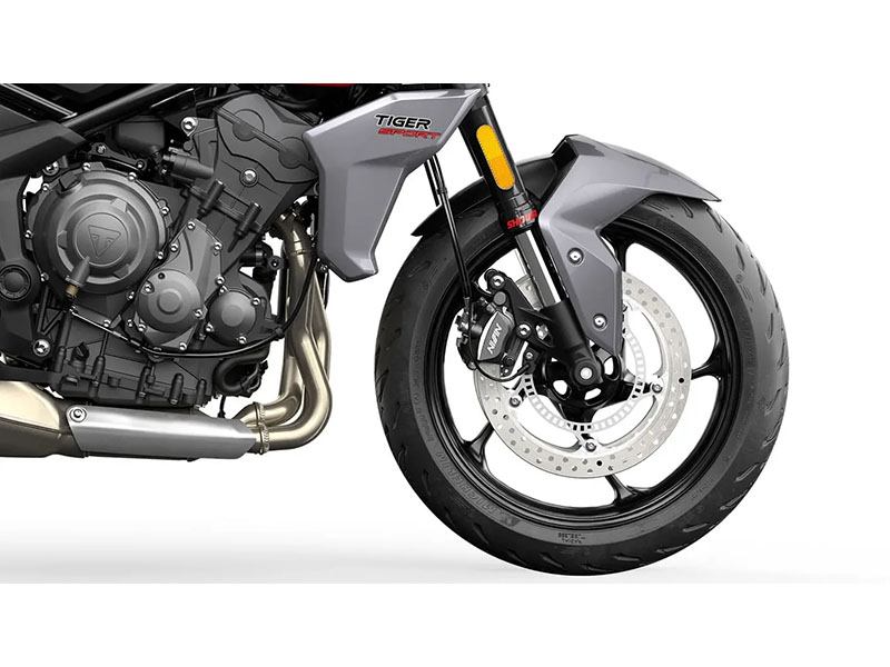 2024 Triumph Tiger Sport 660 in Belle Plaine, Minnesota - Photo 9