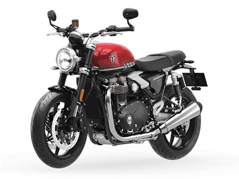 2025 Triumph Speed Twin 1200 in Manchester, New Hampshire - Photo 4