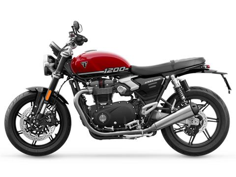 2025 Triumph Speed Twin 1200 in Foxboro, Massachusetts - Photo 2