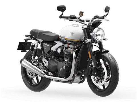 2025 Triumph Speed Twin 1200 in Manchester, New Hampshire - Photo 3