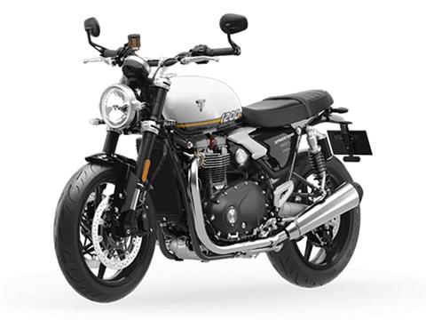 2025 Triumph Speed Twin 1200 in Manchester, New Hampshire - Photo 4