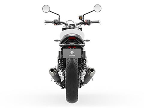 2025 Triumph Speed Twin 900 in Foxboro, Massachusetts - Photo 8