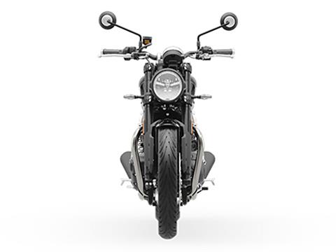 2025 Triumph Speed Twin 900 in Foxboro, Massachusetts - Photo 5