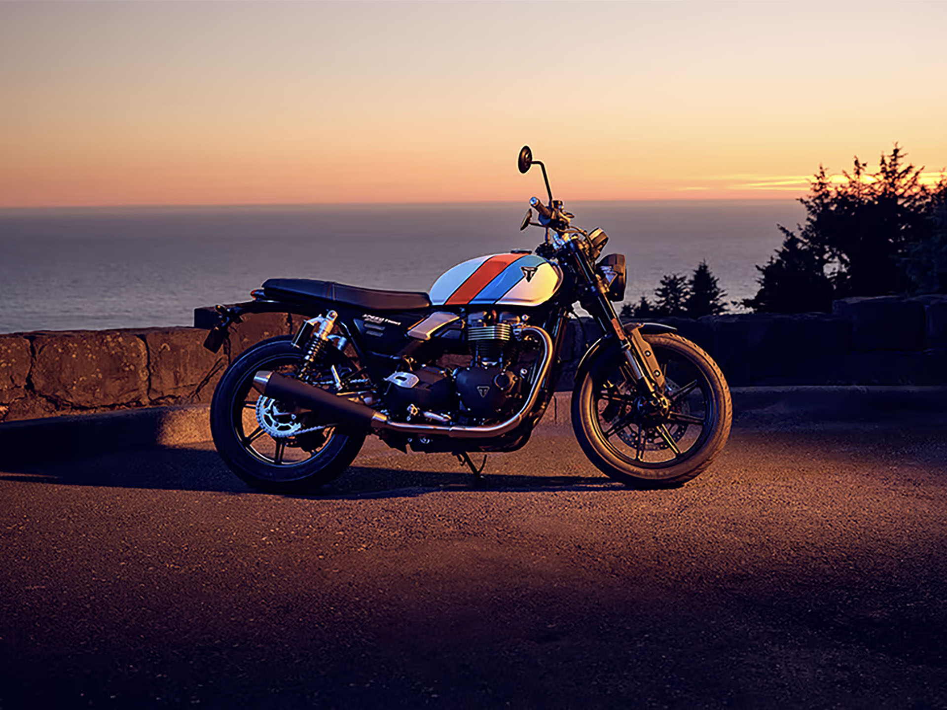 2025 Triumph Speed Twin 900 in Foxboro, Massachusetts - Photo 40