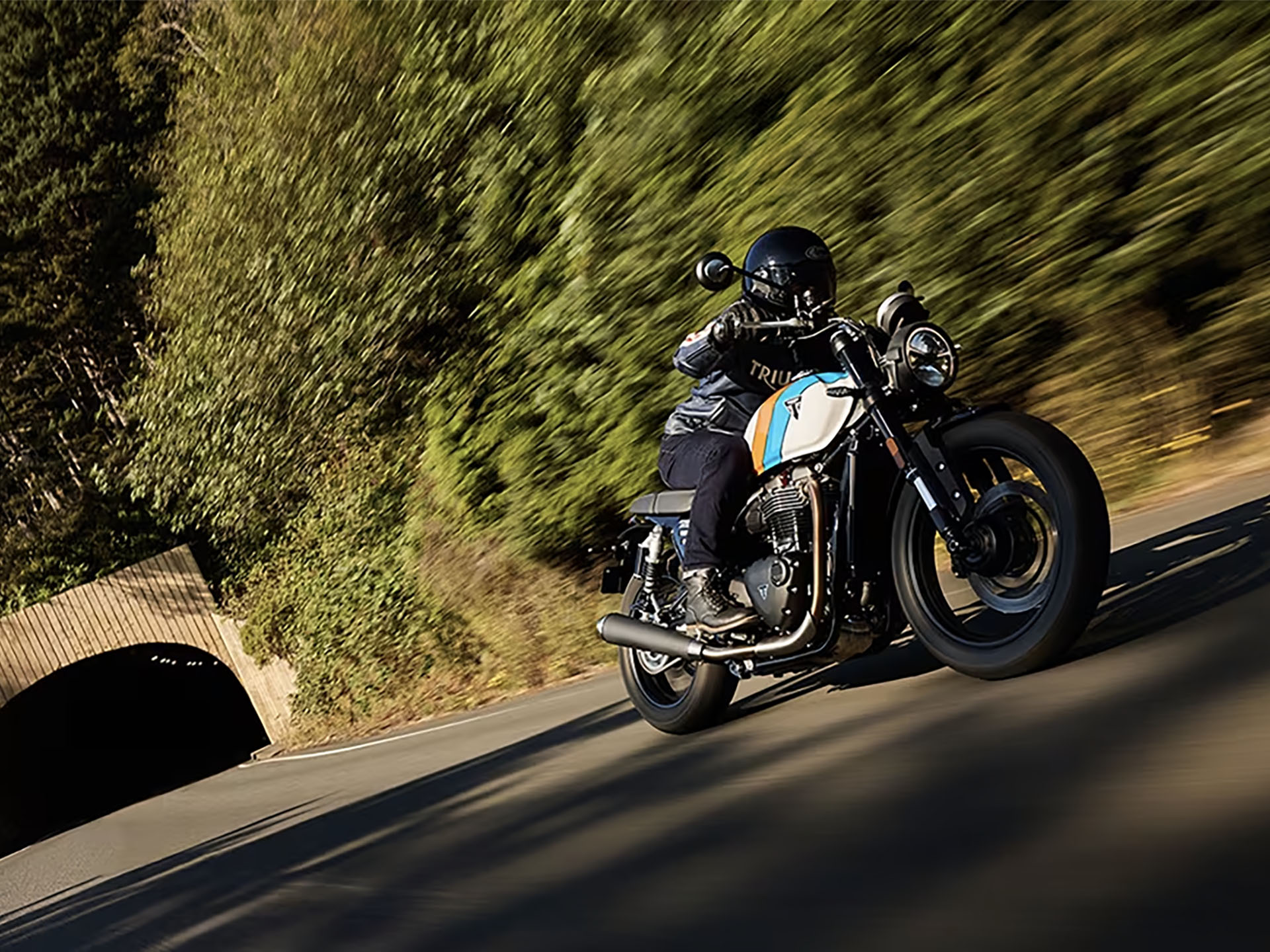 2025 Triumph Speed Twin 900 in Foxboro, Massachusetts - Photo 44