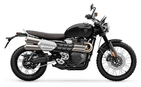 2025 Triumph Scrambler 1200 X in Foxboro, Massachusetts - Photo 1
