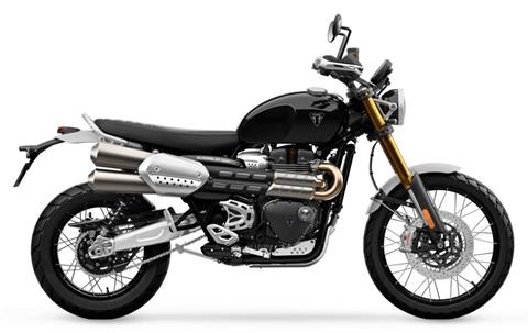 2025 Triumph Scrambler 1200 XE in Enfield, Connecticut