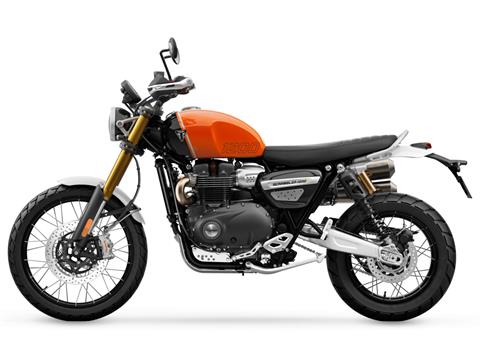 2025 Triumph Scrambler 1200 XE in Foxboro, Massachusetts - Photo 2