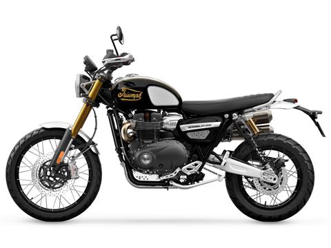 2025 Triumph Scrambler 1200 XE in Foxboro, Massachusetts - Photo 2
