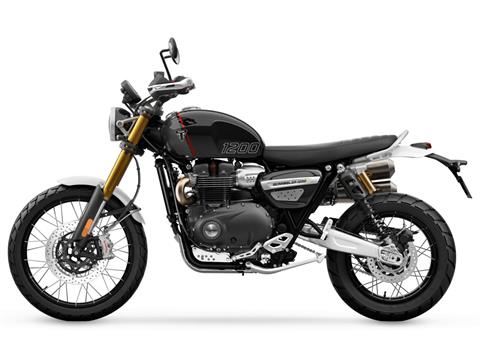 2025 Triumph Scrambler 1200 XE in Foxboro, Massachusetts - Photo 2