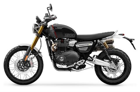 2021 scrambler 1200 cheap
