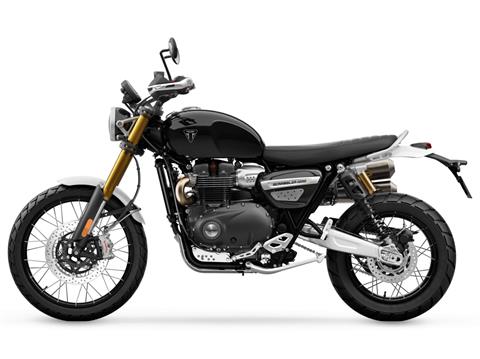 2025 Triumph Scrambler 1200 XE in Foxboro, Massachusetts - Photo 2