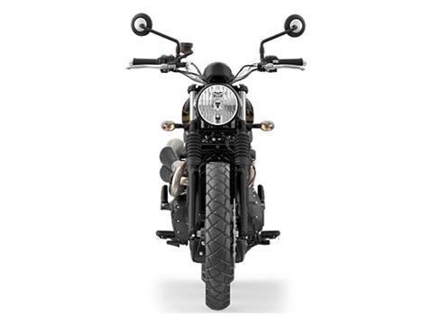 2025 Triumph Scrambler 900 Motorcycles New Haven Connecticut NA