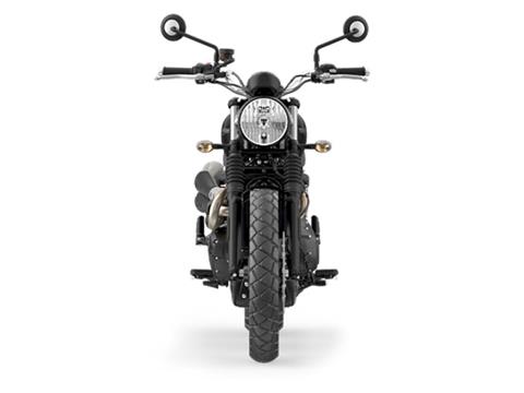 2025 Triumph Scrambler 900 in Foxboro, Massachusetts - Photo 5