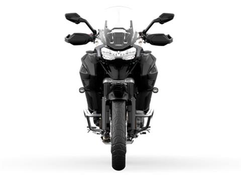2025 Triumph Tiger 1200 GT Explorer in Enfield, Connecticut - Photo 5