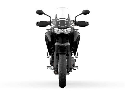 2025 Triumph Tiger 1200 GT Pro in Enfield, Connecticut - Photo 5