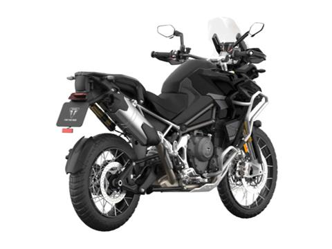 2025 Triumph Tiger 1200 Rally Explorer in Foxboro, Massachusetts - Photo 6