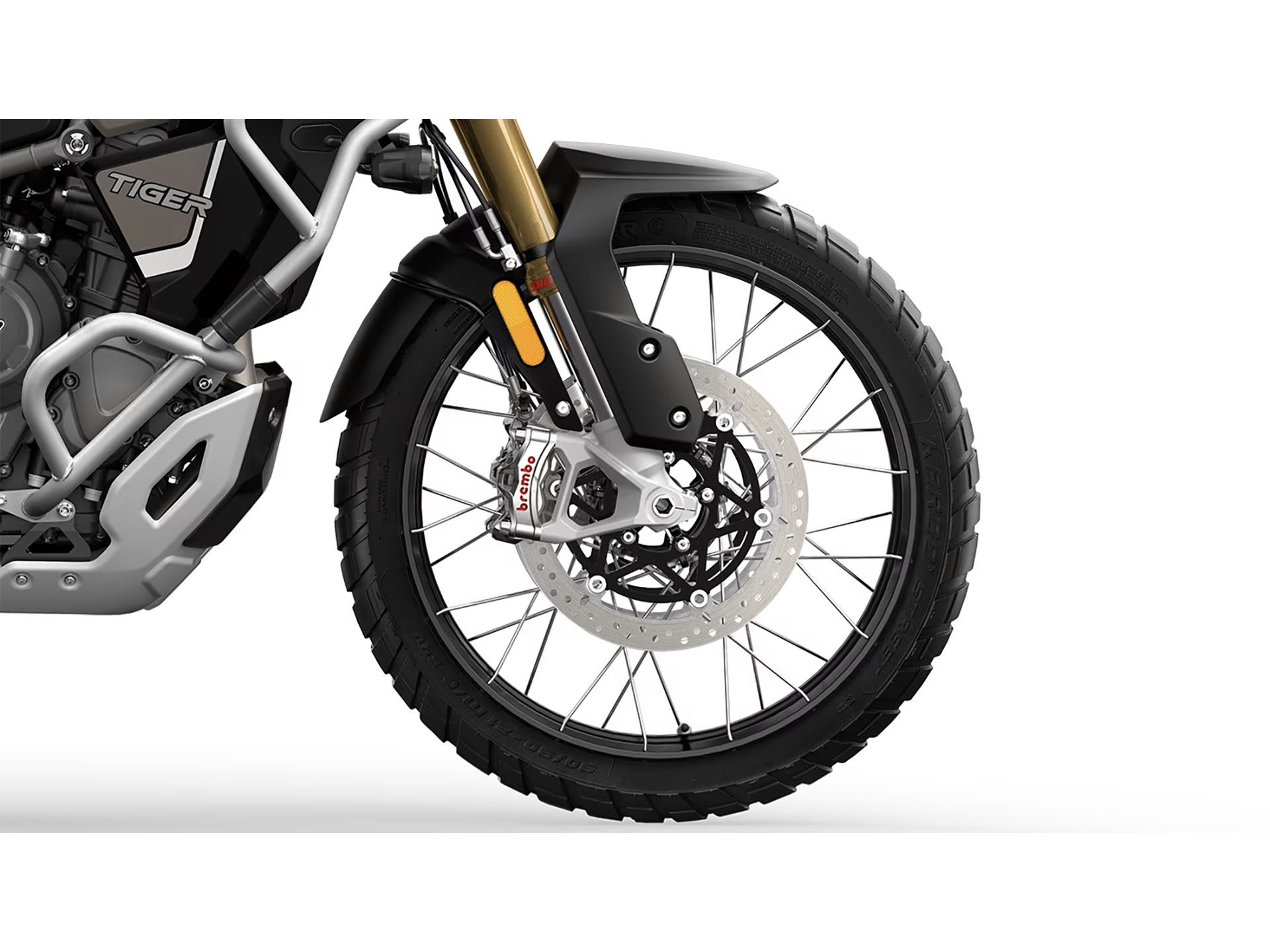 2025 Triumph Tiger 1200 Rally Explorer in Foxboro, Massachusetts - Photo 13
