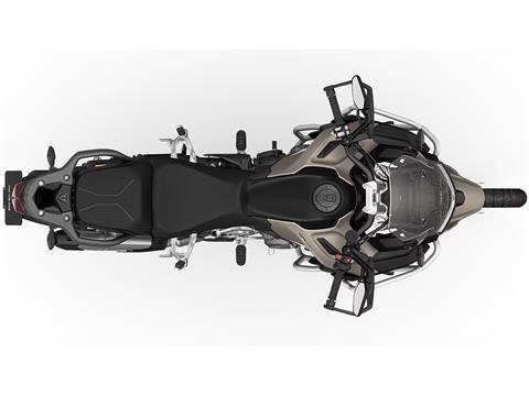 2025 Triumph Tiger 1200 Rally Explorer in Foxboro, Massachusetts - Photo 9
