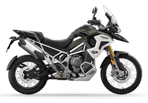 2025 Triumph Tiger 1200 Rally Pro in Foxboro, Massachusetts