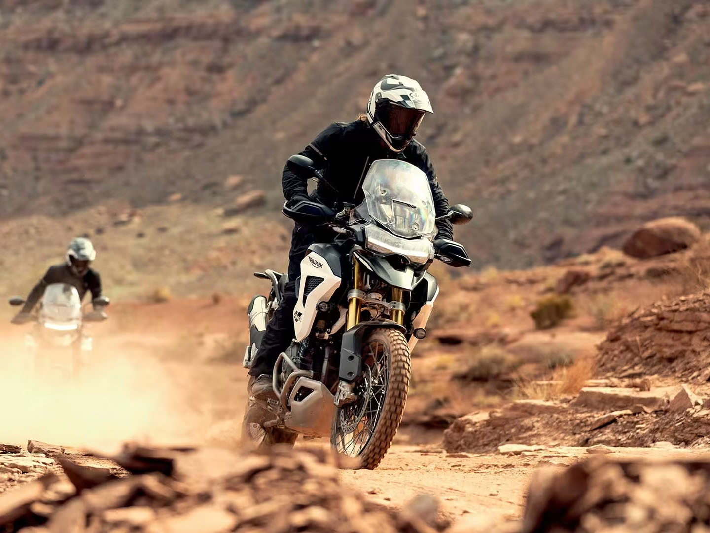 2025 Triumph Tiger 1200 Rally Pro in Manchester, New Hampshire - Photo 15